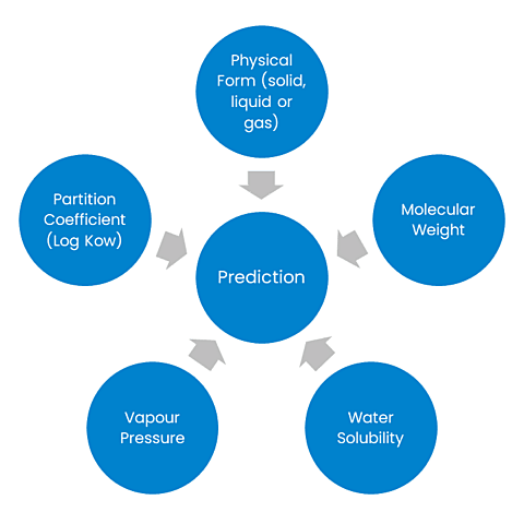 ADME / TK Assessment Consulting | Bibra