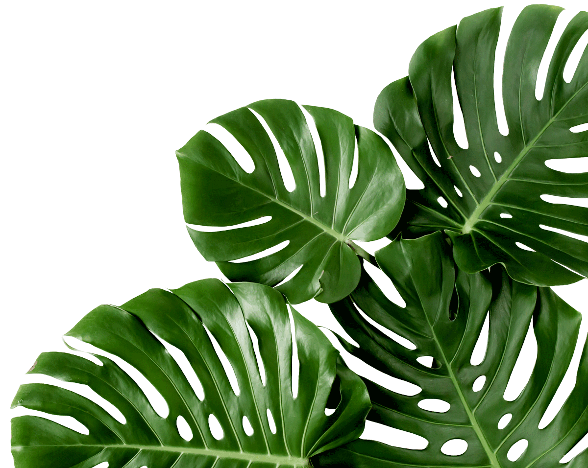 Plant banner